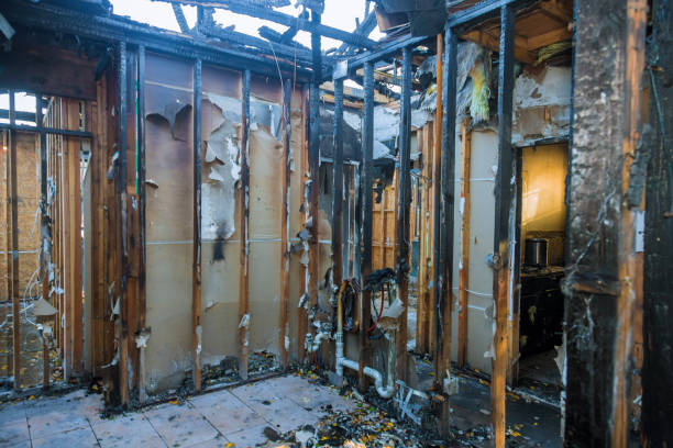 Professional Fire Damage Removal technician working in Hughes Springs, TX